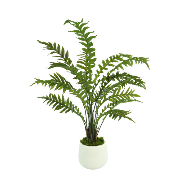 Primrue 40'' Faux Fern Plant in Fiberstone Planter Wayfair